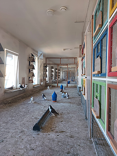 Zuchtanlage Neumeister